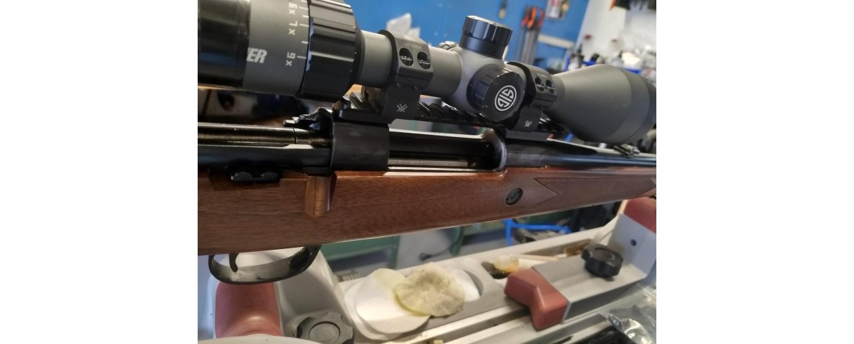 Rail, montage og kikkert